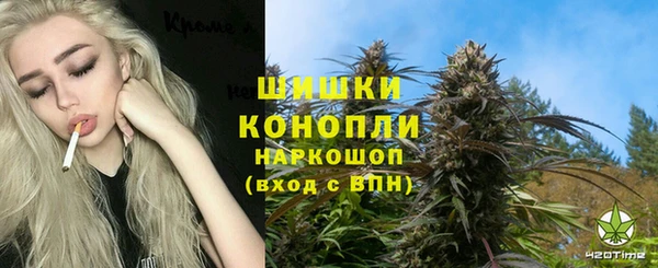 PSILOCYBIN Балахна
