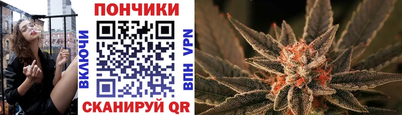 KRAKEN Лихославль Бошки Шишки план
